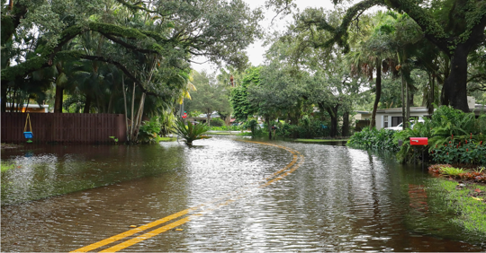 Flooded residential street